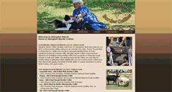 Desktop Screenshot of abingdonbordercollies.com